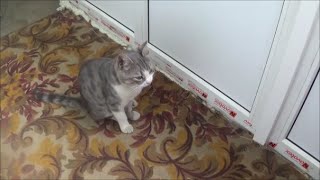 Куда я пропала? У нас ремонт))) Куда я пропала? У нас ремонт)))