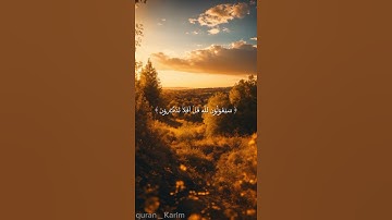 #سورة المؤمنون (87) #قرآن_كريم #راحة_نفسية ❤️😌