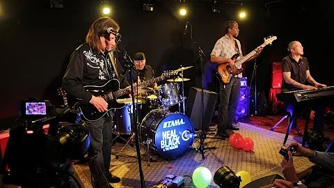 Neal Black and the Healers - Who Do You Love ?