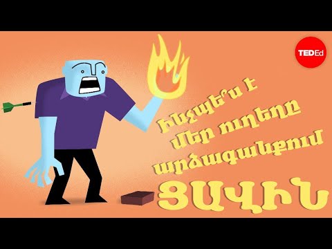 Video: Ի՞նչն է խանգարում մեր ուղեղի գործառույթին: