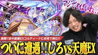 【モンスト】しろ、新たな天魔EX『コルティーナ』ついに遭遇！！初見攻略を目指して激闘を繰り広げる！！【天魔の孤城 空中庭園】【しろ】