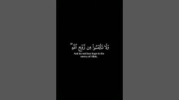 #CapCutتلاوات الشيخ خالد الجليل سورة يوسف #الرحمن #الظروف #دويتو #المراه