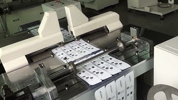 Vility CCD Target Precision Punch/Drill/Roll To Roll CCD Guide Hole Punching Machine Double Head