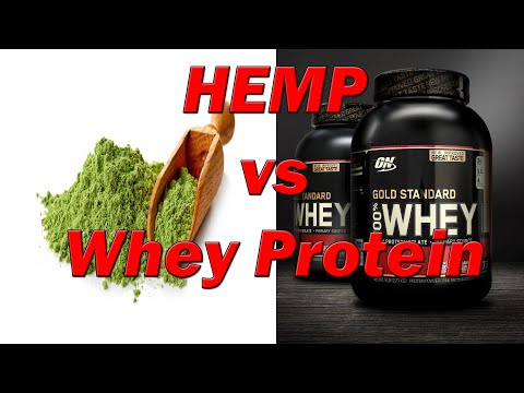 Hemp vs Whey Protein | Facts Should Know About Protein Powder