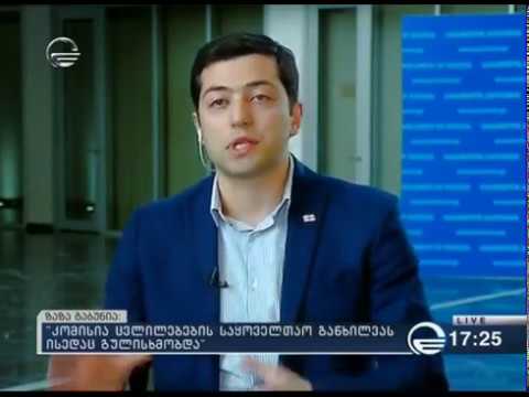 ზაზა გაბუნია \"იმედის\" ეთერში: \"პარლამენტის პრეროგატივაა კონსტიტუციის გადასინჯვა\"