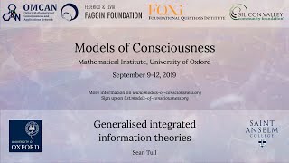 Sean Tull - Generalised integrated information theories