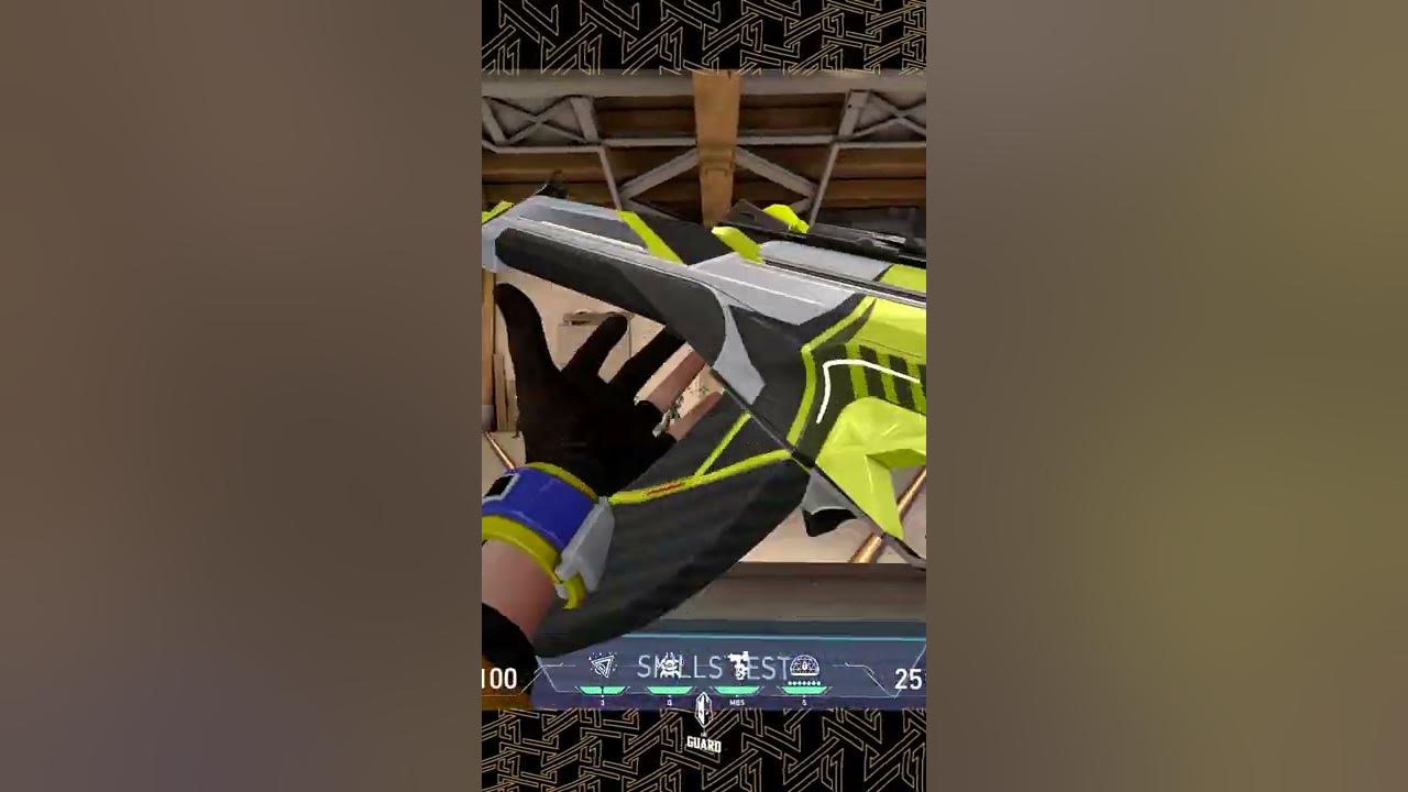 neT's top three Vandal skins The Guard VALORANT shorts YouTube