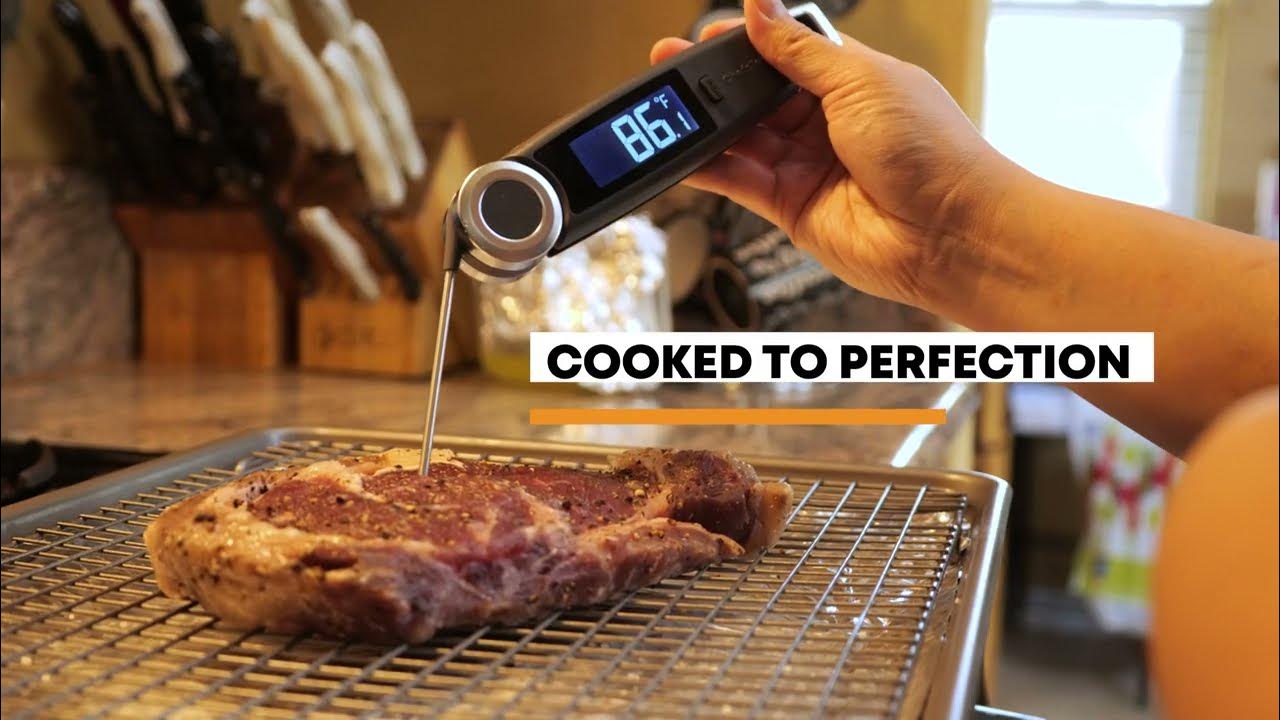 Best Steak Thermometer 2022: The ChefsTemp Pocket Pro