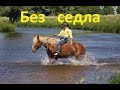 Полезна или вредна езда без седла.