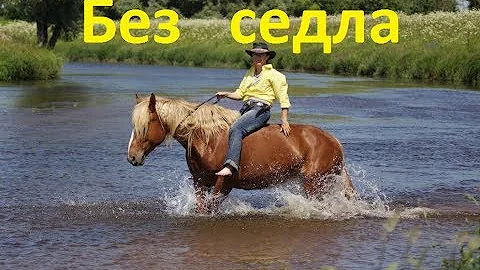 Полезна или вредна езда без седла.