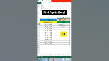 How to Calculate Age in Excel in Seconds! #excel #shorts #fyp #exceltricks #excelformula