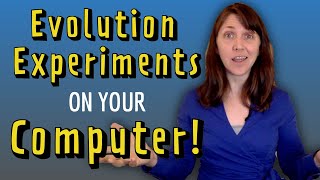 Avida-ED: Evolution Experiments on your Computer!