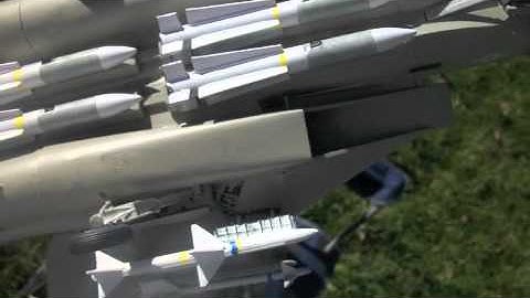 F-14 Tomcat scale model