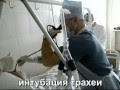 Интубация трахеи с помощью гибкого бронхоскопа 17.04.2011.