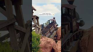 It broke… Rollercoaster at Disney edition 😭 #rollercoaster #broken