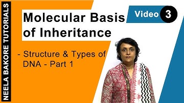 Molecular Basis of Inheritance | NEET | Structure & Types of DNA - Part 1 | Neela Bakore Tutorials