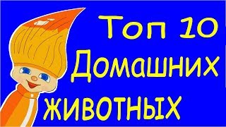 Назови 10 домашних животных Угадай голоса животных Назови 10 домашних животных Угадай голоса животных