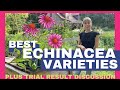 Best Echinacea Varieties // Coneflower Trial Results // Yanking Coneflowers In A Panic!