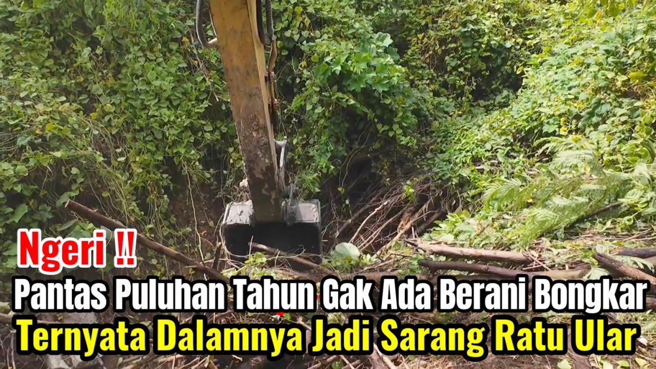 Ngeri‼️Pantas Puluhan Tahun Gak Ada Yang Berani Bongkar Ternyata Dalamnya Jadi Sarang Ular
