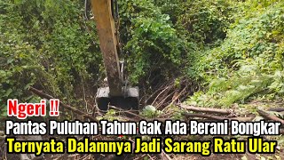 Download Lagu Ngeri‼️Pantas Puluhan Tahun Gak Ada Yang Berani Bongkar Ternyata Dalamnya Jadi Sarang Ular MP3 Download Lagu Ngeri‼️Pantas Puluhan Tahun Gak Ada Yang Berani Bongkar Ternyata Dalamnya Jadi Sarang Ular MP3
