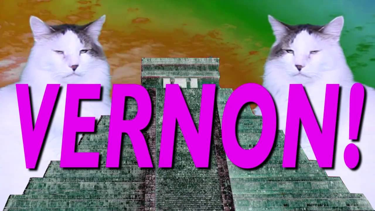 ¡FELIZ CUMPLEAÑOS VERNON! Canción Comica de Cumpleaños video phone beyonce mp3