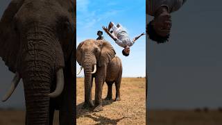 I Backflipped Off Of An ELEPHANT! 🐘🐘