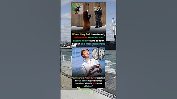 When they feel threatened