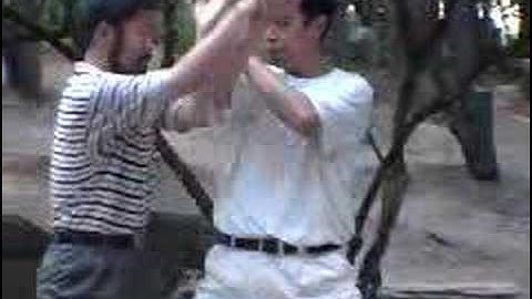 Advanced Push Hands with Chen Zhonghua