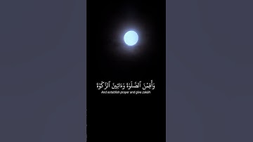 سوره احزاب آیه 33 | عمر سیدیلینسکی
