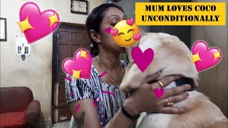 Mum Showers Love On Coco Watch The Funny & Loving Video Of Mum Adoring Crazy Coco...