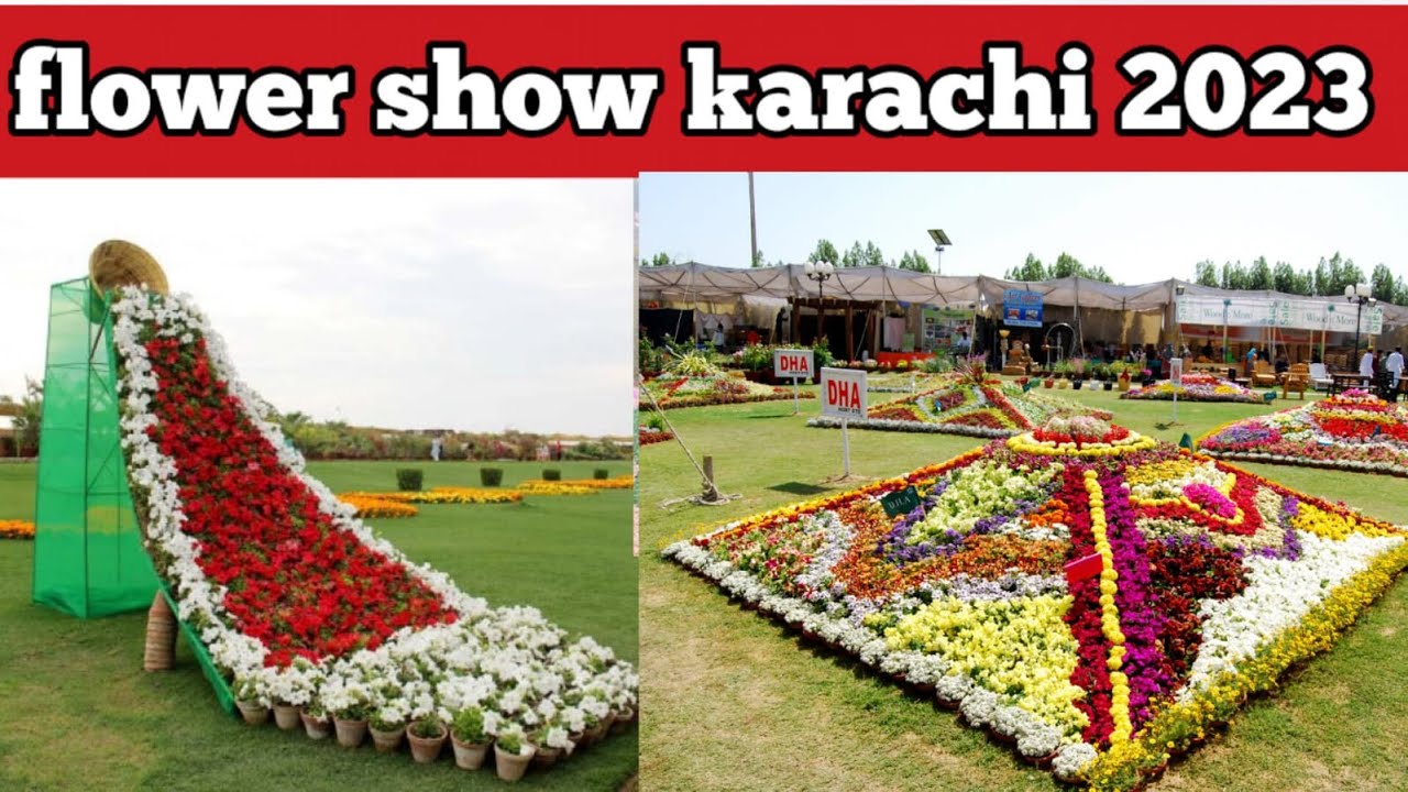 flower show karachi 2023 Annual Flower Show karachi 2022 rose flower show Pak Exclusive tv