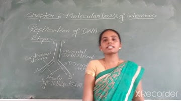 II PU REGULAR TOPIC: MOLECULAR BASIS OF INHERITANCE PART-5