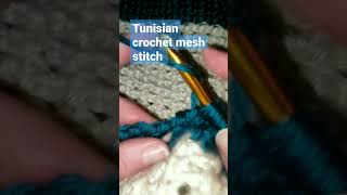 Tunisian Crochet Mesh Stitch 🙃 #yarn #crochet #crochetscarf #tunisiancrochet #meshstitch #bitknits
