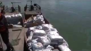 China 53 Feed Delivery China Style