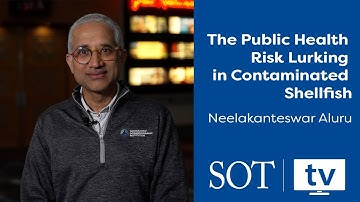 The Public Health Risk Lurking in Contaminated Shellfish | Neelakanteswar Aluru