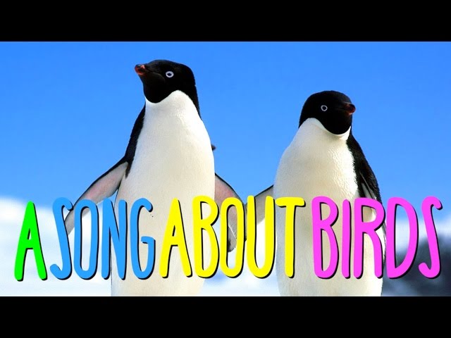 A SONG ABOUT BIRDS class=