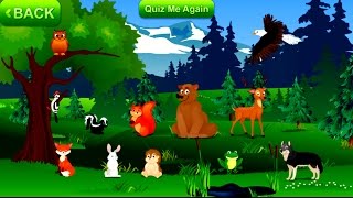 Kids learn Wild Animals  - Teaching Children Animal Names and Sounds - Part 1: Forest screenshot 2