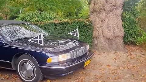Begraafplaats - Crematorium. Zorgvlied Amsterdam / CRS met de Blue Lady