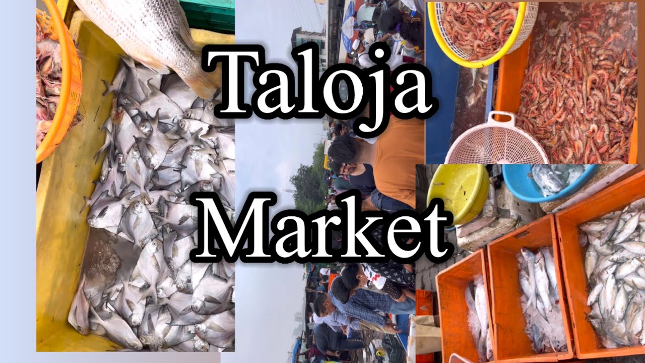 🐟Taloja Fish market 🐠 Cheap Fish Market YouTube