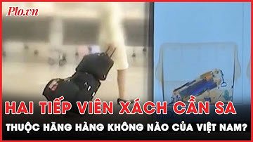 Vụ hai tiếp viên buôn lậu cần sa bị bắt: Nhiều hãng hàng không của Việt Nam lên tiếng  | PLO