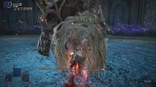 Level 1 Executor  beats Depth 5 Divine Beast Dancing Lion with the Cursed Sword Only (No Damage)