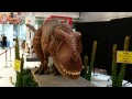 板橋区立教育科学館　くらべてびっくり恐竜展（１）