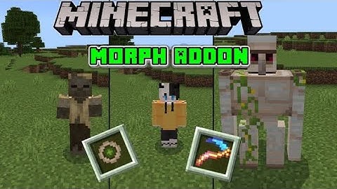 DOWNLOAD NEW MORPH V2 FOR MINECRAFT PE 1.21