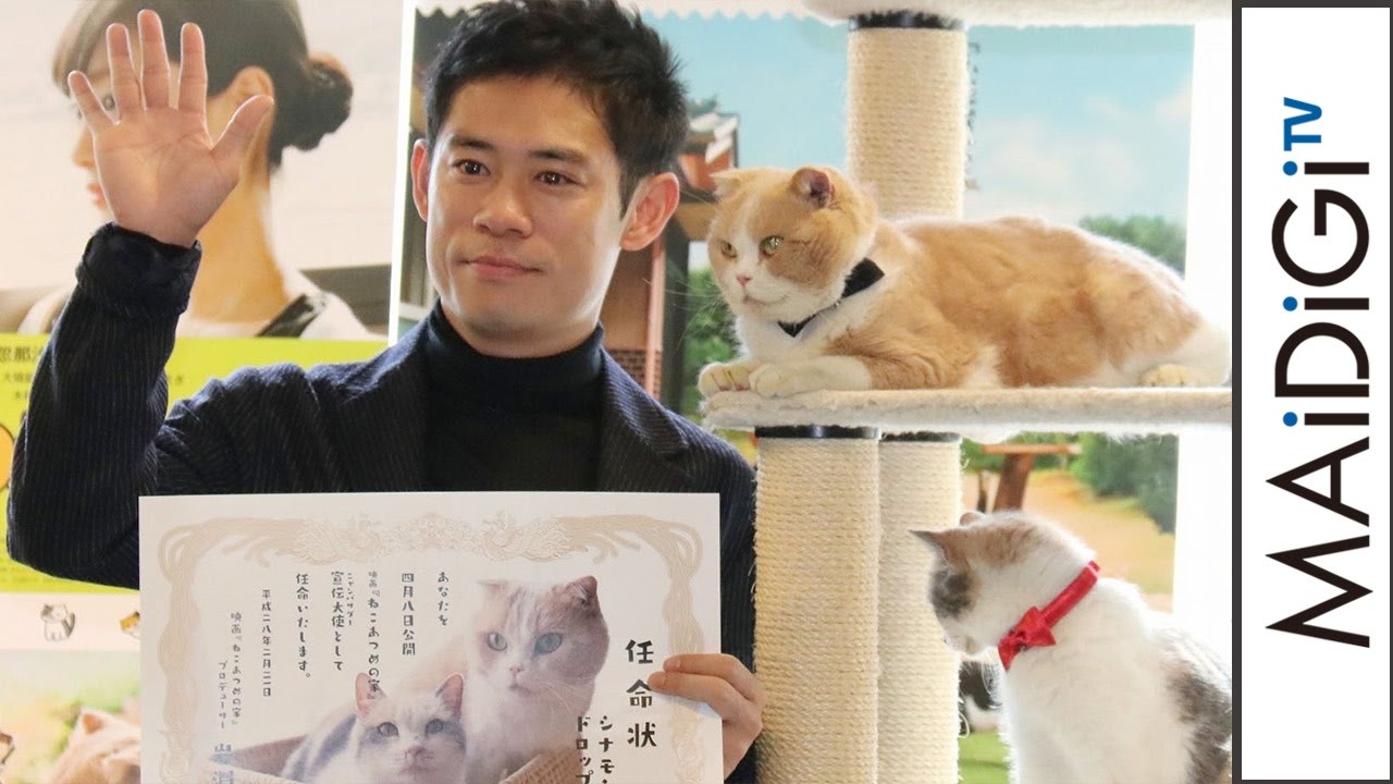 映画 ねこあつめの家 出演猫 が宣伝アンバサダーに 犬派 の伊藤淳史も 癒やされる 映画 ねこあつめの家 イベント1 Youtube