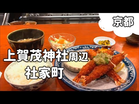 【愛犬と京都案内】上賀茂神社周辺をマルプーさんとご案内🌼 洋食ランチと神馬堂のあおいもち // A dog-friendly tour around Kamigamo Shrine【Kyoto】