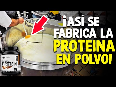 Video: ¿Dónde se fabrican las proteínas?