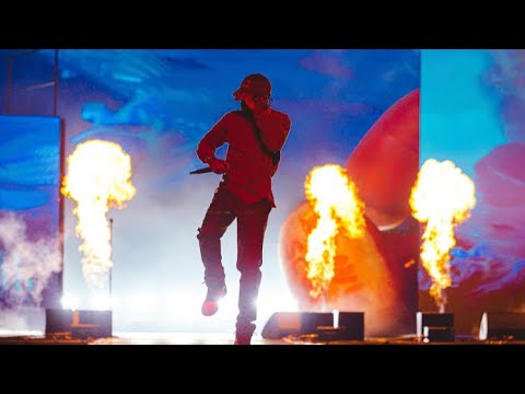 Travis Scott - Butterfly Effect (Live @ Wireless 2019)