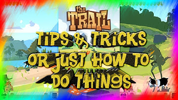 The Trail: Tips & Tricks Or Just How To Do Things