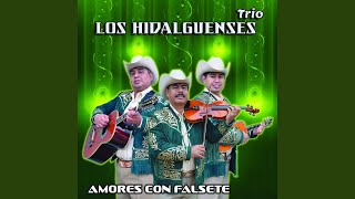 Video thumbnail of "Trío Los Hidalguenses - La Orquidea"