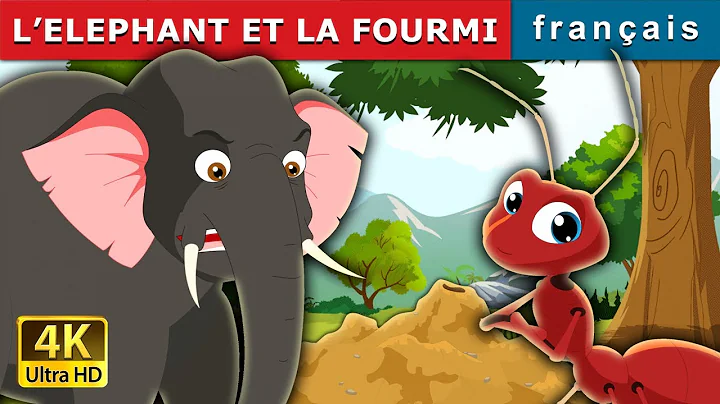 LELEPHANT ET LA FOURMI | Elephant and Ant in Frenc...